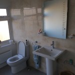 Sink & Toilet Installation